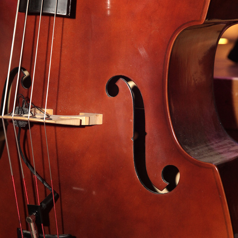 Steward Five - Foto: Hanno Karlheim