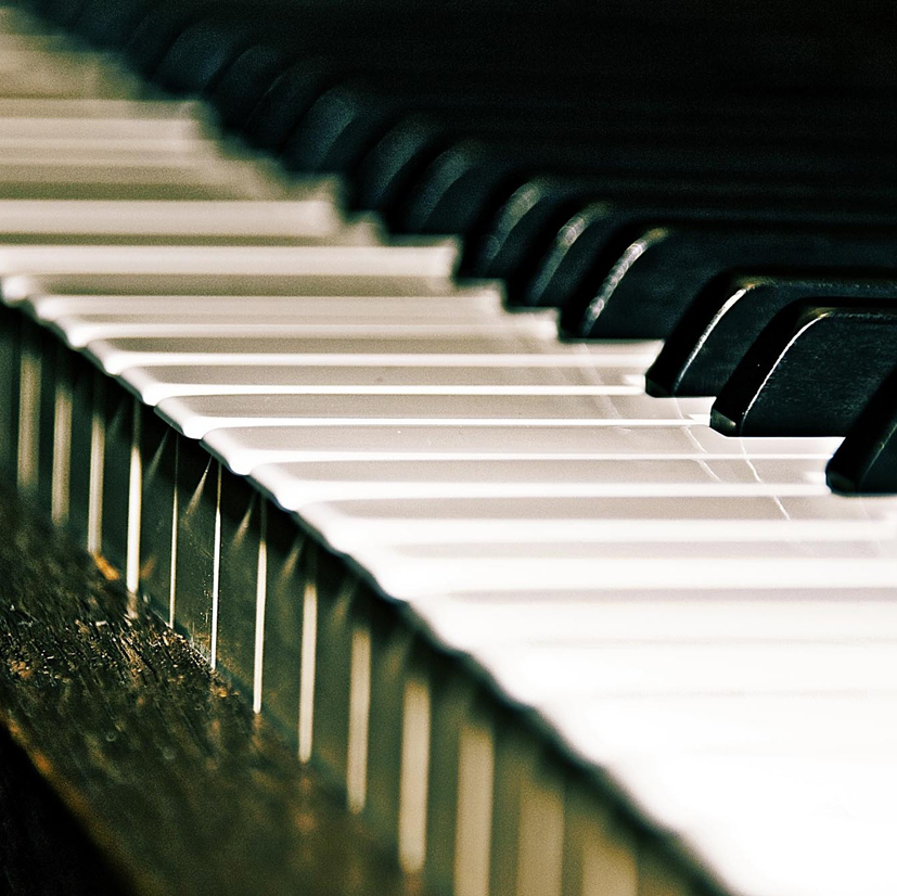 Steward Five - Foto: Hanno Karlheim